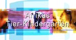 Afrikas Tier-Kindergarten