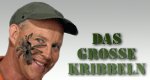 Das große Kribbeln