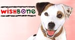 Wishbone