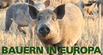 Bauern in Europa – Bild: megaherz