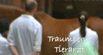 Traumberuf Tierarzt Traumberuf Tierarzt