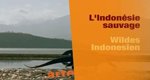 Wildes Indonesien – Bild: arte (Screenshot)
