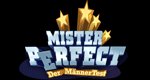 Mister Perfect – Der MännerTest