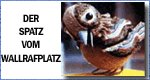Der Spatz vom Wallrafplatz Der Spatz vom Wallrafplatz