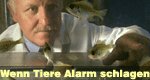 Wenn Tiere Alarm schlagen – Bild: arte