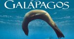 Naturwunder Galapagos