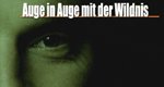 Auge in Auge mit der Wildnis