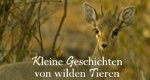 Kleine Geschichten von wilden Tieren