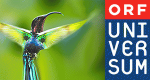 Universum – Bild: ORF Universum – Bild: ORF