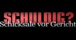 Schuldig? Schicksale vor Gericht – Bild: Sat.1 Schuldig? Schicksale vor Gericht – Bild: Sat.1