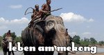 Leben am Mekong – Bild: arte Leben am Mekong – Bild: arte