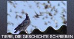 Tiere, die Geschichte schrieben – Bild: timeline Studios Tiere, die Geschichte schrieben – Bild: timeline Studios