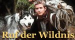 Ruf der Wildnis