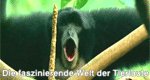 Die faszinierende Welt der Tierlaute – Bild: arte Die faszinierende Welt der Tierlaute – Bild: arte