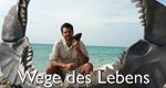 Die Geschichte des Lebens – Bild: BBC Die Geschichte des Lebens – Bild: BBC