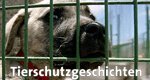Tierschutzgeschichten – Bild: WDR Tierschutzgeschichten – Bild: WDR