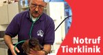 Notruf Tierklinik – Bild: MDR Notruf Tierklinik – Bild: MDR
