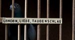 London, Liebe, Taubenschlag – Bild: ZDF London, Liebe, Taubenschlag – Bild: ZDF