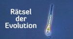 Rätsel der Evolution – Bild: Discovery Channel