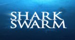 Shark Swarm – Angriff der Haie – Bild: RHI Entertainment Shark Swarm – Angriff der Haie – Bild: RHI Entertainment