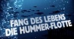 Fang des Lebens – Die Hummer-Flotte – Bild: DMAX Fang des Lebens – Die Hummer-Flotte – Bild: DMAX