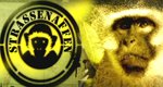 Straßenaffen – Bild: National Geographic Channel