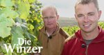 Die Winzer – Bild: MDR/Melanie Henze