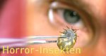 Horror-Insekten – Bild: National Geographic Channel (Screenshot)