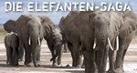 Die Elefanten-Saga – Bild: Off the Fence Die Elefanten-Saga – Bild: Off the Fence