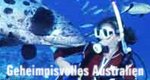 Geheimnisvolles Australien – Bild: Lilium Distribution Geheimnisvolles Australien – Bild: Lilium Distribution