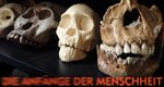 Die Anfänge der Menschheit – Bild: PBS NOVA