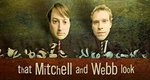 That Mitchell And Webb Look