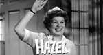 Hazel Hazel