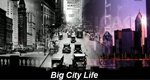Big City Life – Bild: Discovery Channel