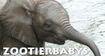 Zootierbabys – Bild: RBB/DOKfilm Zootierbabys – Bild: RBB/DOKfilm
