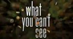 Die unsichtbare Welt – Bild: Discovery Communications, LLC.