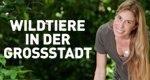 Wildtiere in der Großstadt – Bild: Fox Cable Networks Services, LLC.