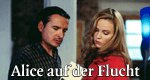Alice auf der Flucht Alice auf der Flucht