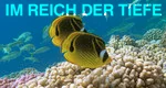 Im Reich der Tiefe – Bild: ZDF/© Christian Pétron