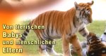 Von tierischen Babys und menschlichen Eltern – Bild: Anixe (Screenshot) Von tierischen Babys und menschlichen Eltern – Bild: Anixe (Screenshot)