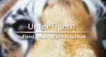 Die geheime Welt der Tiger – Bild: ARD (Screenshot) Die geheime Welt der Tiger – Bild: ARD (Screenshot)