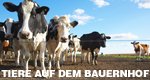 Tiere auf dem Bauernhof – Bild: WDR Tiere auf dem Bauernhof – Bild: WDR