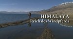 Himalaya – Reich des Windpferds