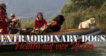 Extraordinary Dogs – Helden auf vier Pfoten – Bild: VOX/back2back/JM Extraordinary Dogs – Helden auf vier Pfoten – Bild: VOX/back2back/JM