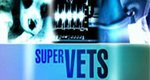 Super-Vets – Tiere im OP – Bild: BBC