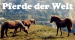 Pferde der Welt
