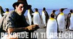 Rekorde im Tierreich – Bild: BBC Rekorde im Tierreich – Bild: BBC