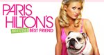 Paris Hilton’s British Best Friend – Bild: itv Paris Hilton’s British Best Friend – Bild: itv