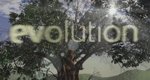 Evolution – Die Geschichte des Lebens – Bild: PBS