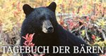 Tagebuch der Bären – Bild: BBC Tagebuch der Bären – Bild: BBC